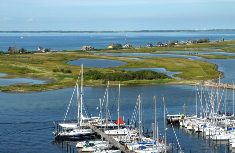 Graswarder direkt am Yachthafen von Heiligenhafen